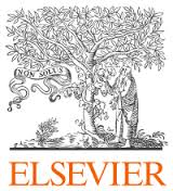 Elsevier