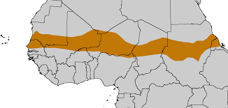 Sahel