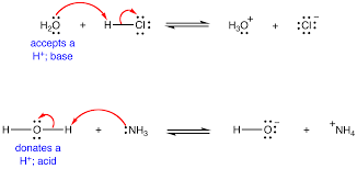 amphoteric