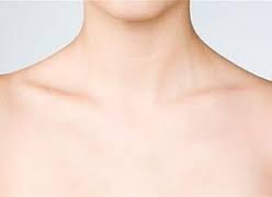 collarbone