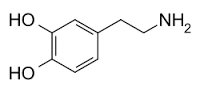 dopamine