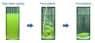 flocculation