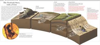 fossilization