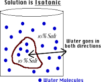 isotonic