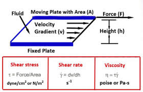 rheology