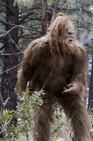 sasquatch