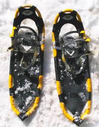 snowshoe